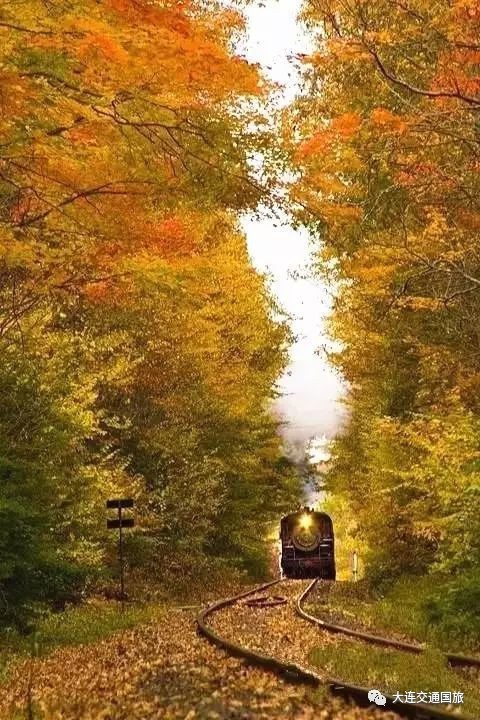 kaiyun网页登录入口