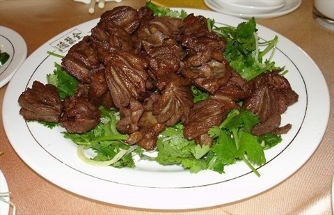 kaiyun开云网页版