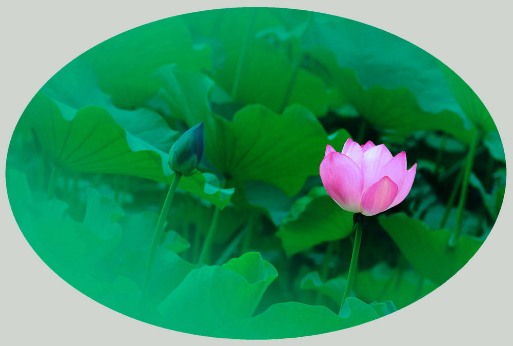 kaiyun开云网页版