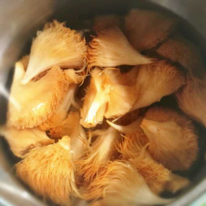 kaiyun开云网页版