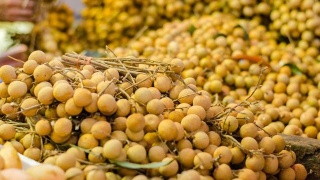 kaiyun网页登录入口