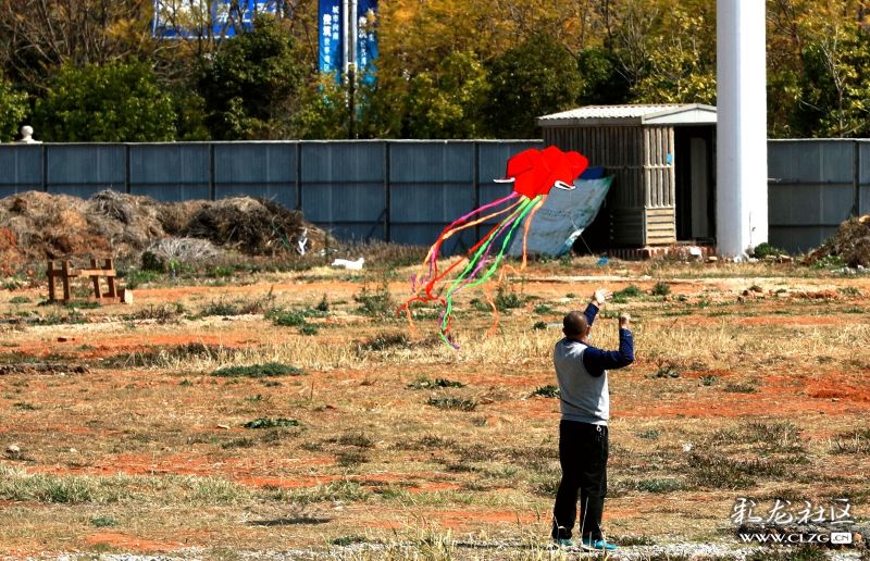 kaiyun开云官方在线登录