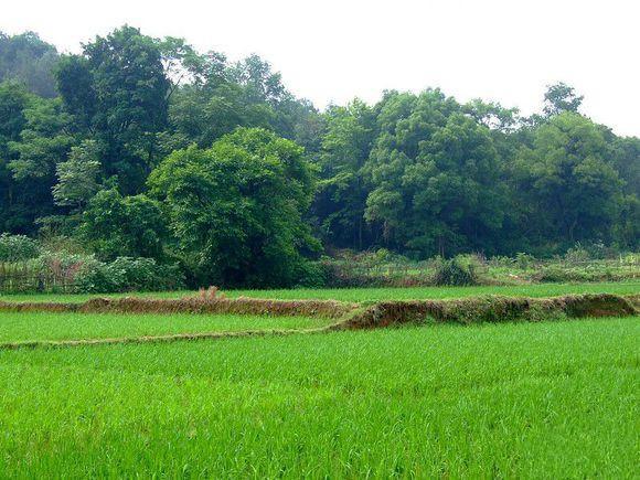 kaiyun开云网页版