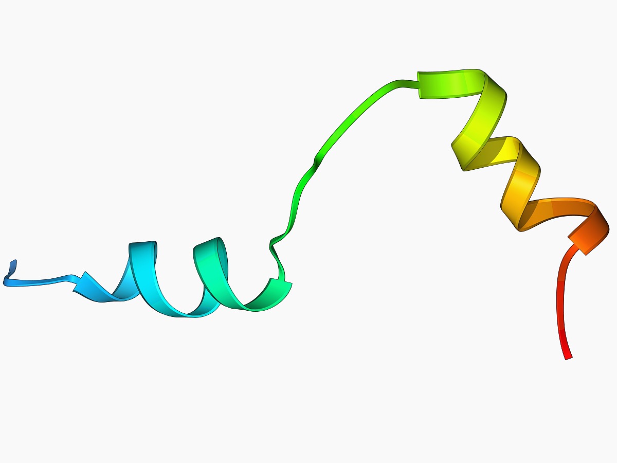 kaiyun开云网页版