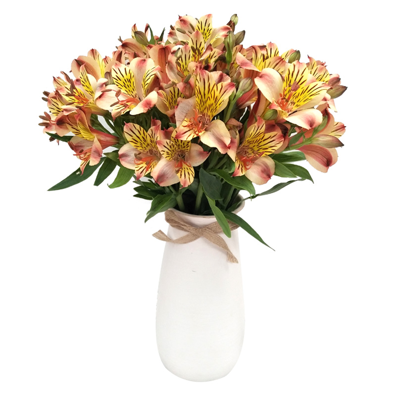 kaiyun网页登录入口