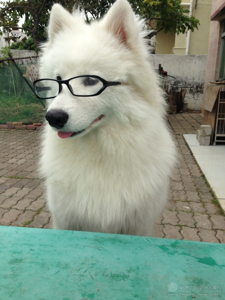 kaiyun网页登录入口