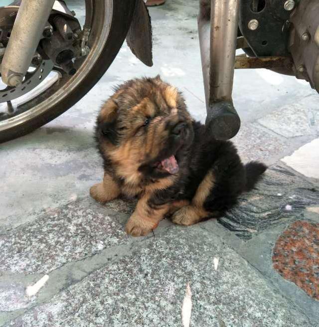 kaiyun开云官方在线登录