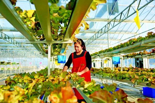 kaiyun网页登录入口