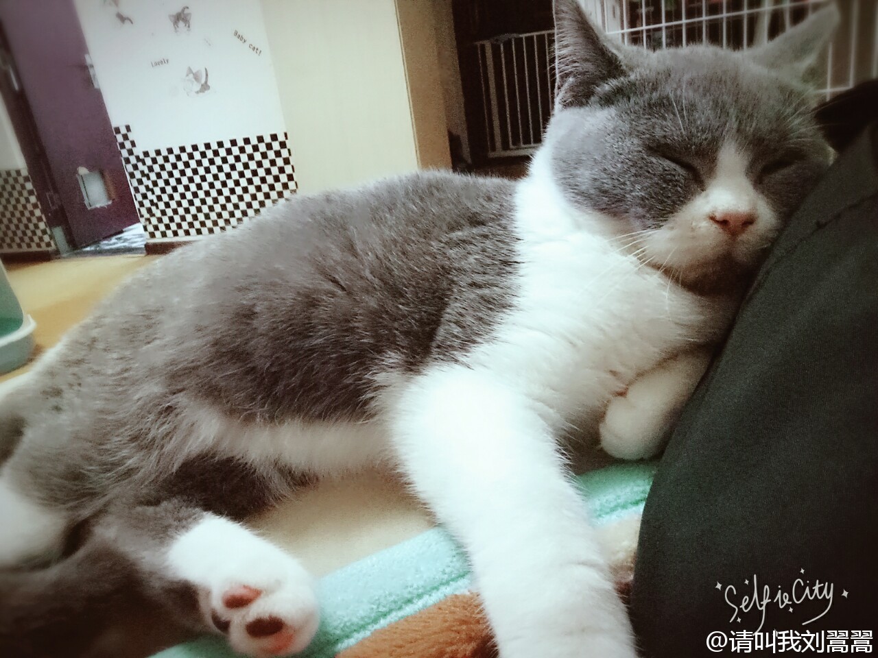 “kaiyun开云官方在线登录”《火影忍者》大蛇丸转生躯体盘点 各个都是当世至强(图1) kaiyun开云官方在线登录