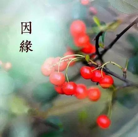 最新 2020年广州市普通高中学校补录录取分数出炉!广雅720!‘kaiyun网页登录入口’(图4) kaiyun开云官方在线登录