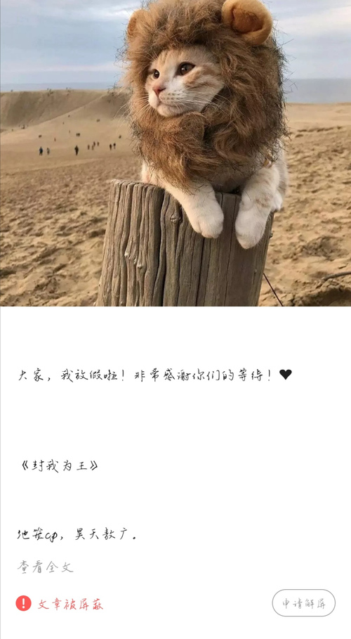 kaiyun开云网页版