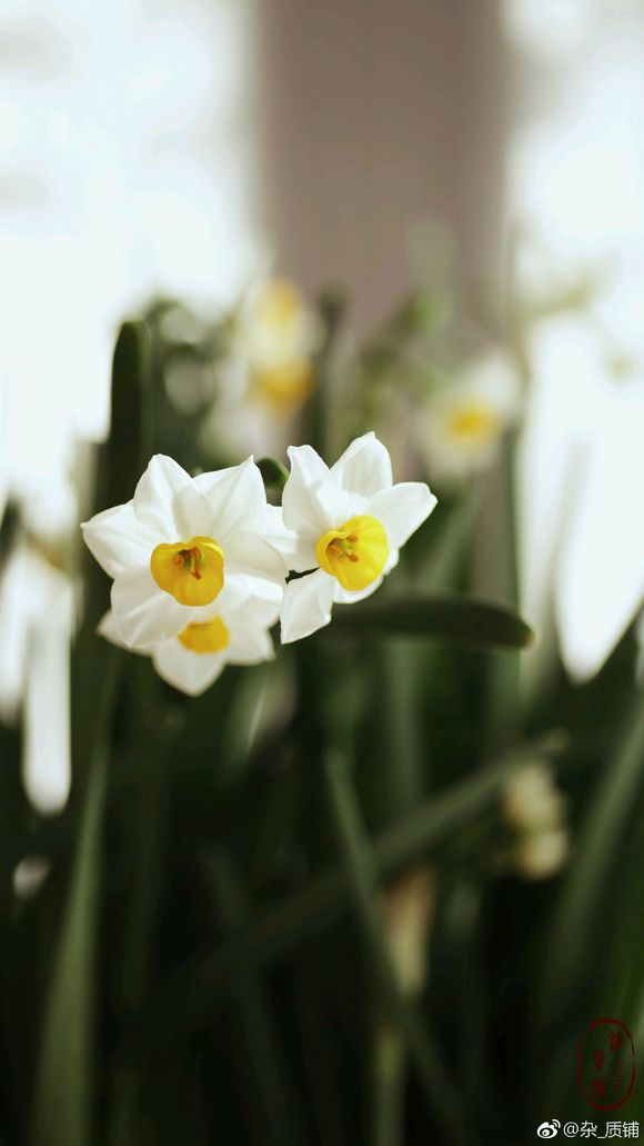 kaiyun开云网页版