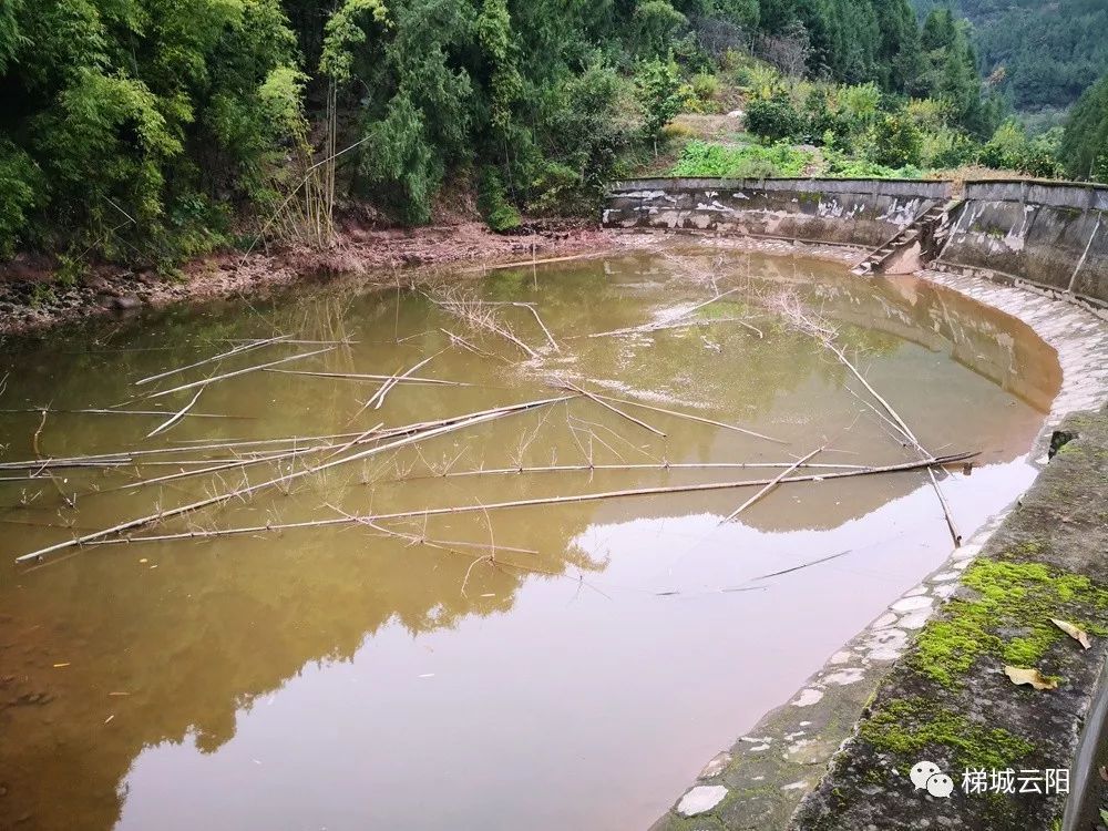 kaiyun开云官方在线登录
