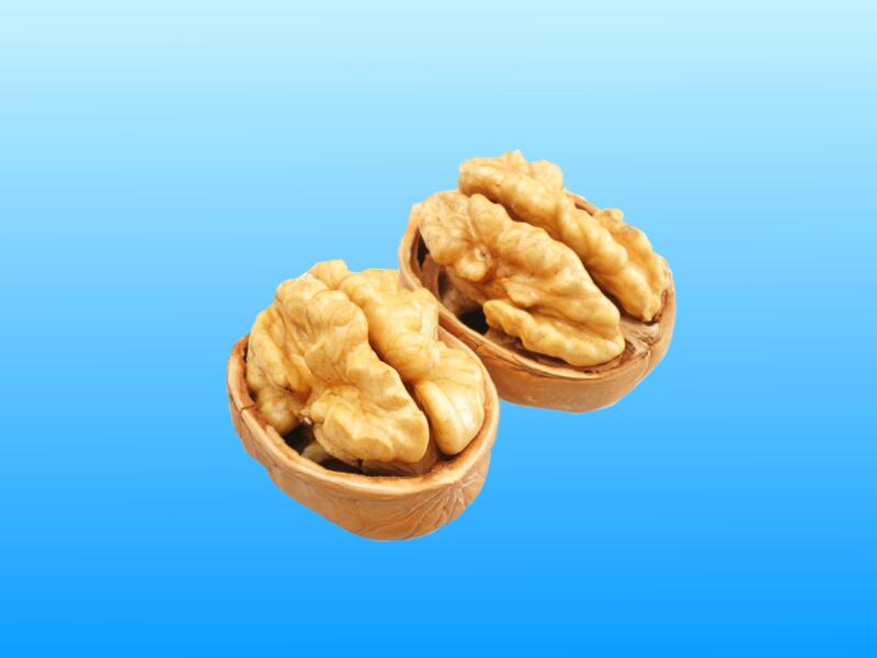 中国新歌声3导师的开场秀是什么?互唱对方歌曲?‘kaiyun网页登录入口’(图3) kaiyun开云网页版