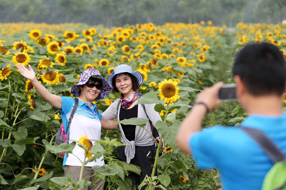 今年“双十一”预计包裹量超10.5亿 高峰期提前至当天:kaiyun网页登录入口(图3) kaiyun开云官方在线登录