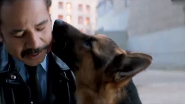 kaiyun网页登录入口|“双11”当日订单破1.5亿!净利同增近5成!中通业绩再创新高.........(图3) kaiyun开云官方在线登录