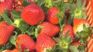 【kaiyun网页登录入口】顺丰开始整合商业资源担负起物流业务“试验田”的重任(图3) kaiyun网页登录入口