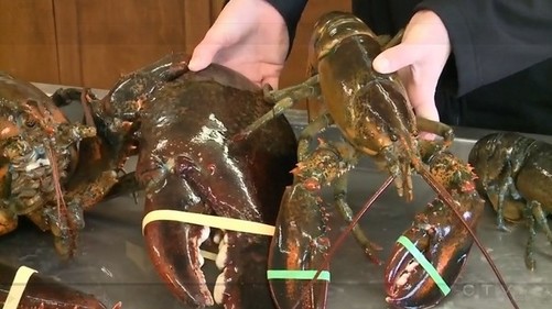 kaiyun开云官方在线登录