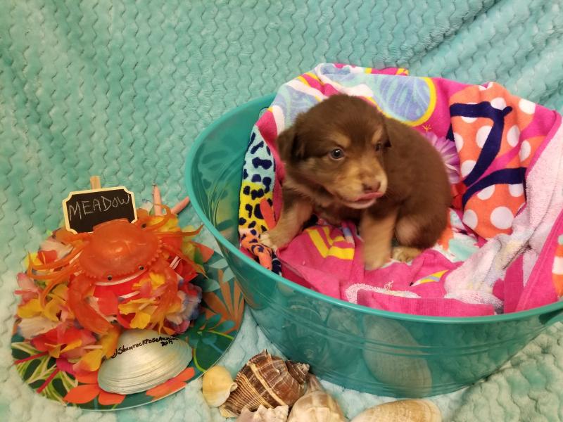 kaiyun开云官方在线登录