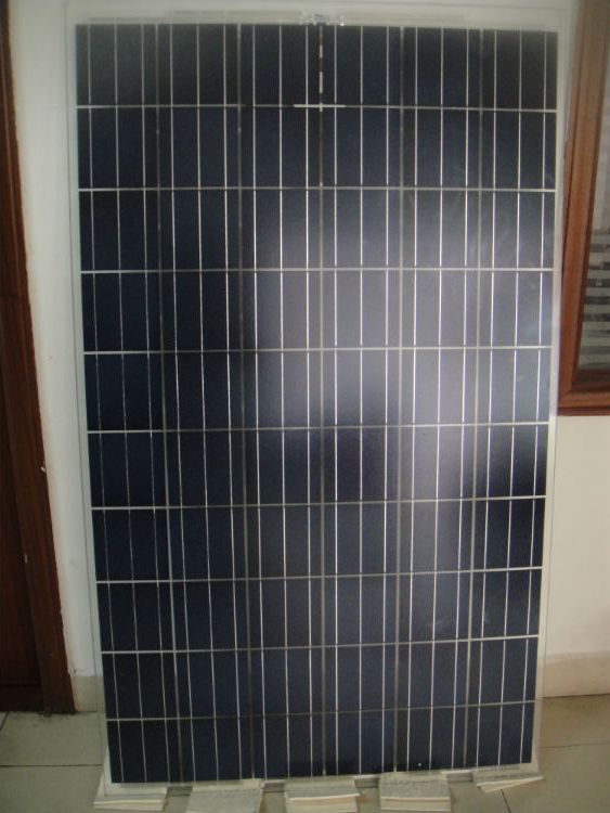 kaiyun网页登录入口-宫崎骏全CG动画《毛毛虫菠萝》3月上映 限定吉卜力美术馆(图3) kaiyun开云官方在线登录