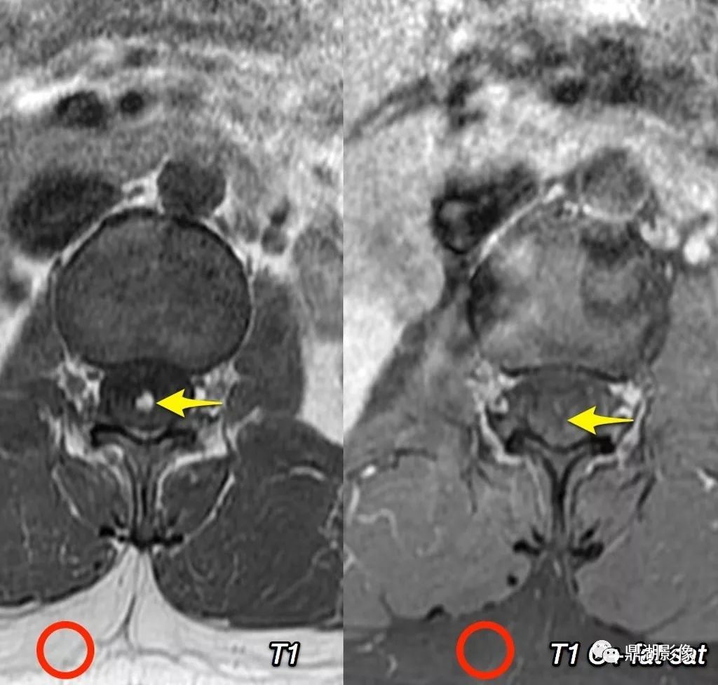 壹米滴答首发“次晨达”及“次日达”服务-kaiyun开云网页版(图3) kaiyun网页登录入口