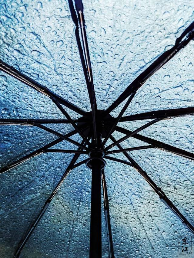 刘益谦称艺术无国界莫迪里阿尼的裸女将在沪展出‘kaiyun开云官方在线登录’(图3) kaiyun开云官方在线登录