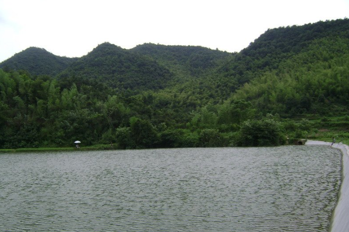 kaiyun开云网页版