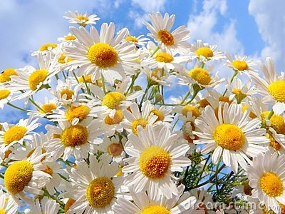 kaiyun开云网页版