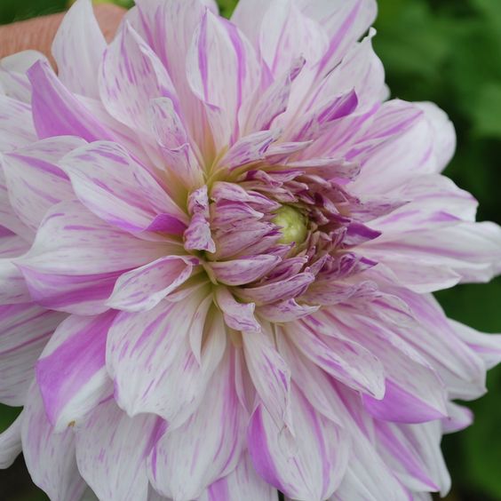 kaiyun开云网页版