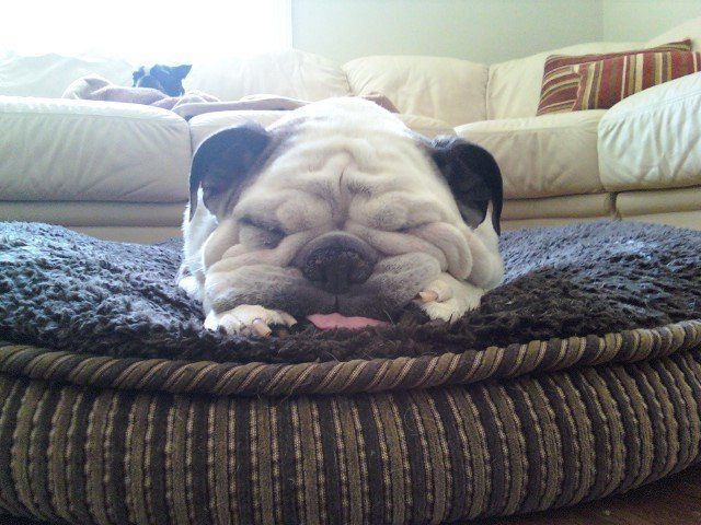 kaiyun开云官方在线登录