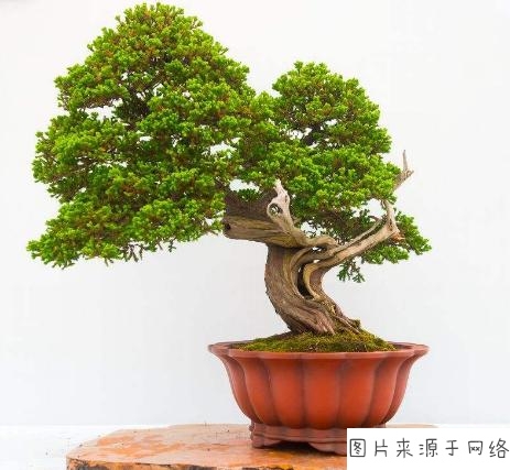 kaiyun网页登录入口