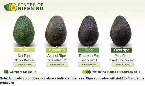 ‘kaiyun开云官方在线登录’声临其境3蝉联视冠口碑晋级 大鹏点赞张含韵“马冬梅”(图2) kaiyun网页登录入口