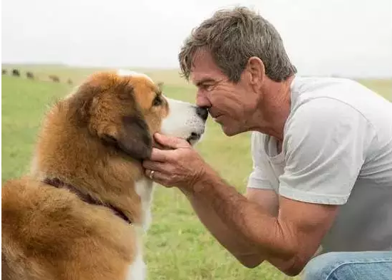 旅途的花样乔欣空降,花样五美也诞生‘kaiyun开云官方在线登录’(图1) kaiyun开云官方在线登录