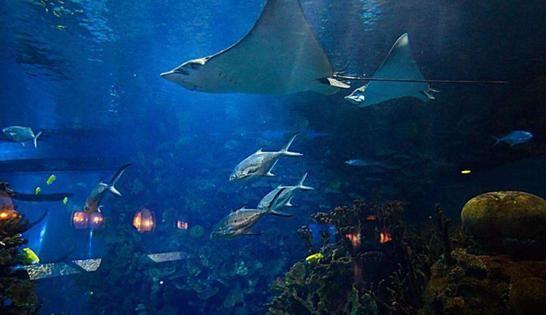 瘾君子快递运毒被判无期:kaiyun开云官方在线登录(图1) kaiyun开云官方在线登录