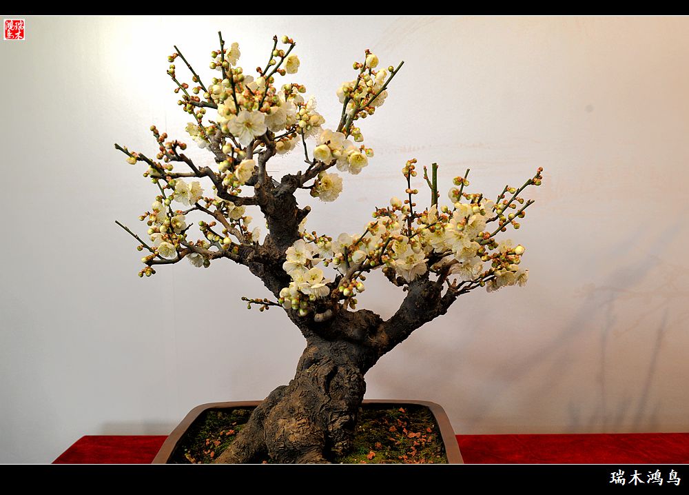 kaiyun开云网页版:马云为何选择郑州建电商物流配送中心?(图2) kaiyun网页登录入口