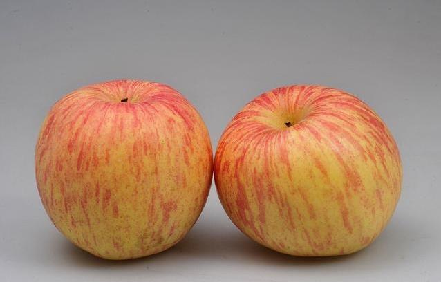 kaiyun网页登录入口