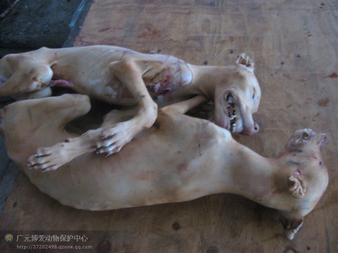 kaiyun网页登录入口