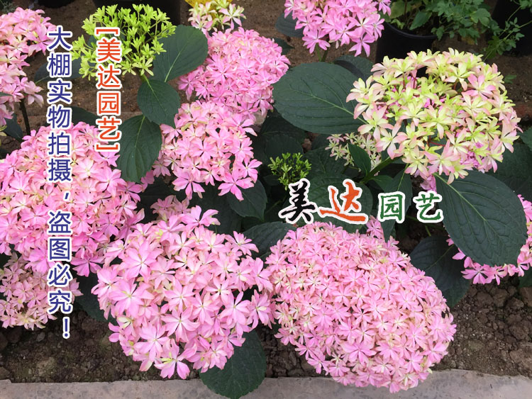 kaiyun网页登录入口