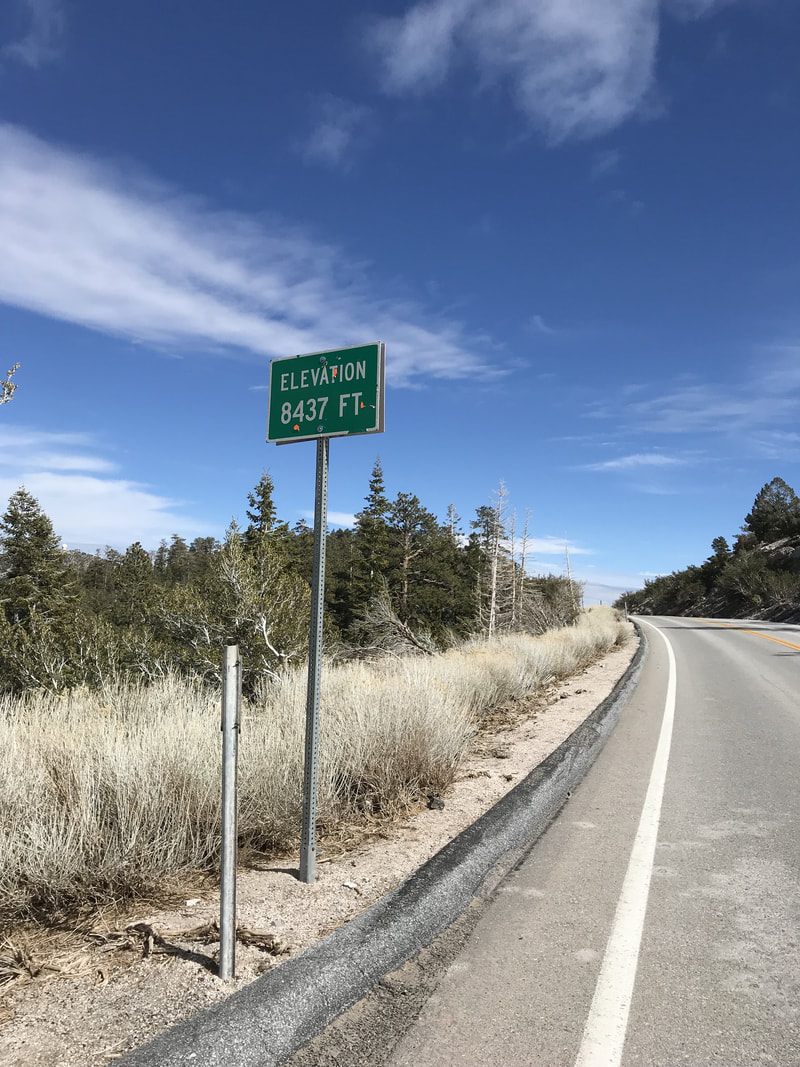 kaiyun开云网页版