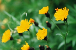 kaiyun开云官方在线登录