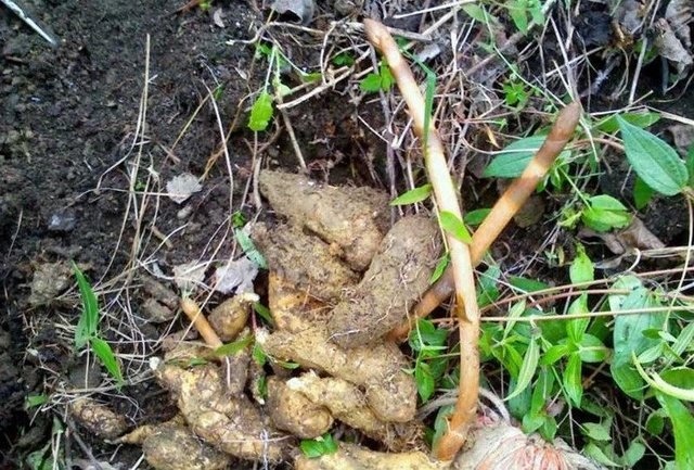 kaiyun开云网页版