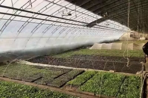 kaiyun开云官方在线登录