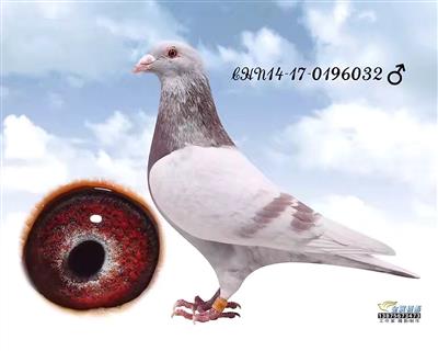 kaiyun开云官方在线登录|物流新时代即将到来(图2) kaiyun开云官方在线登录