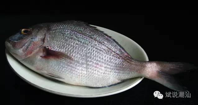 kaiyun开云网页版