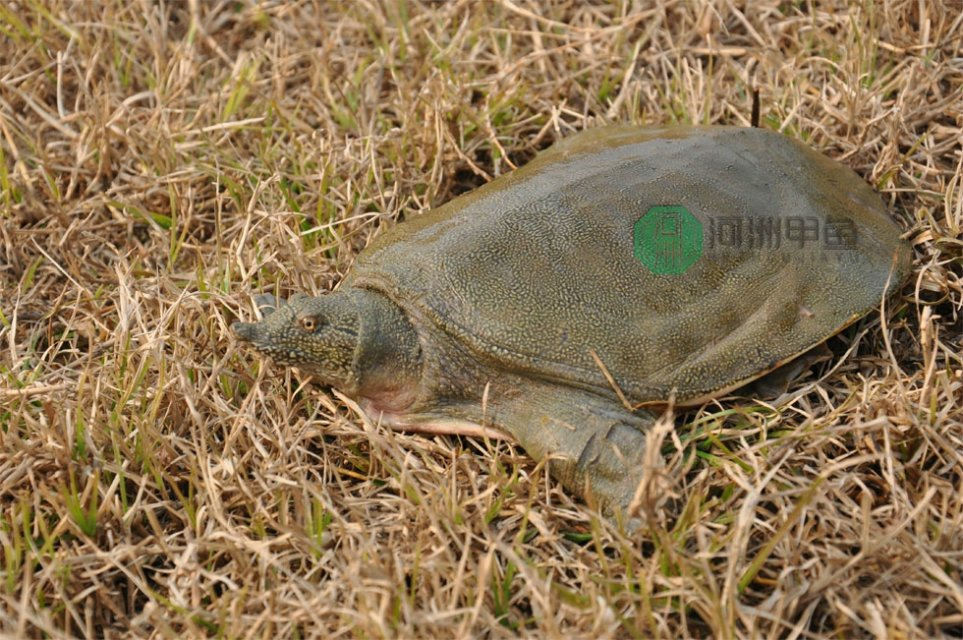 ‘kaiyun网页登录入口’电影故事片《老百姓是天》首映座谈会在京举行(图1) kaiyun开云官方在线登录