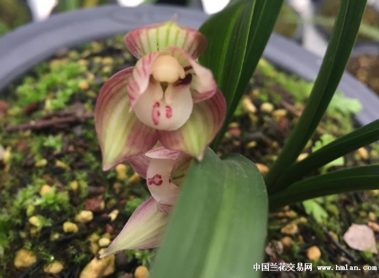 kaiyun开云官方在线登录