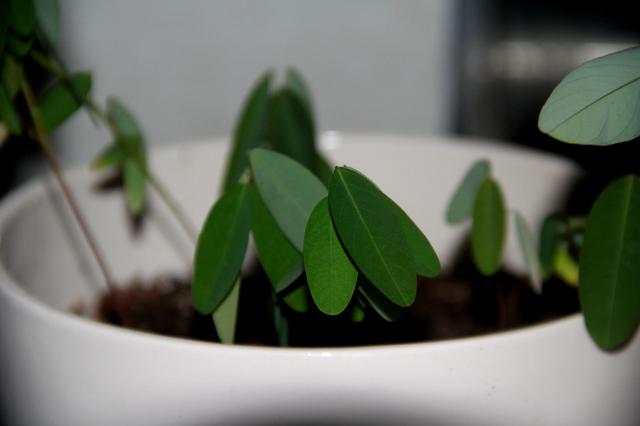 kaiyun开云网页版