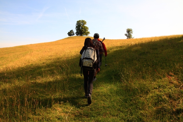 kaiyun开云网页版