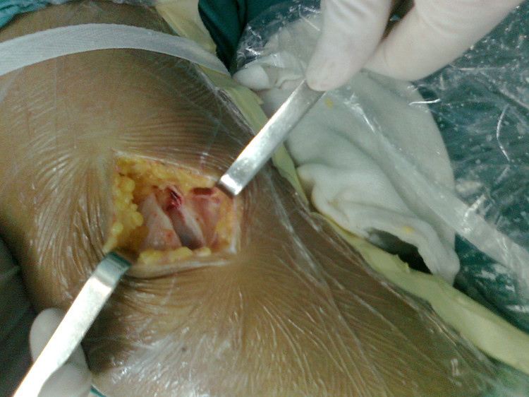 <h1>叶浅予如何看徐悲鸿的素描观“kaiyun开云官方在线登录”(图2) kaiyun开云官方在线登录