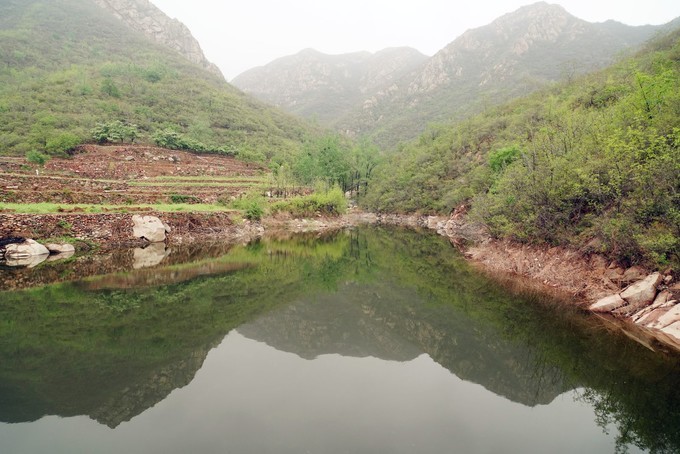新综艺上新了故宫薛之谦搭档王祖蓝,范丞丞Justin也加盟了-kaiyun网页登录入口(图2) kaiyun开云网页版
